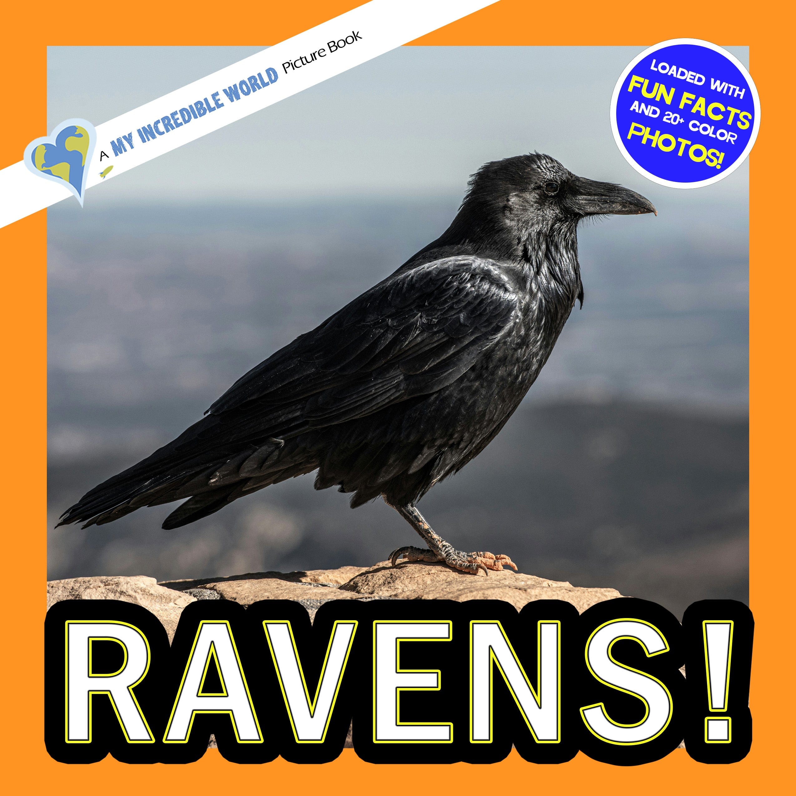 Ravens! A My Incredible World Picture Book for Children